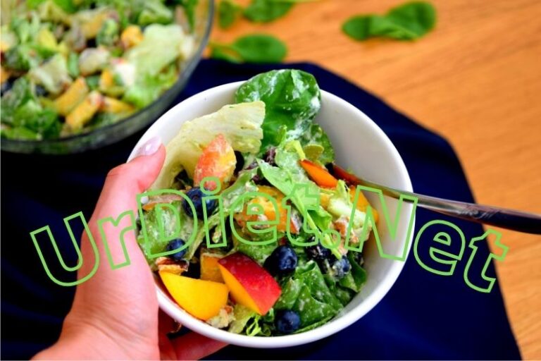 النظام الغذائي النباتي plant based diet